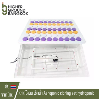 ถาดโคลน เซ็ทน้ำ Aeroponic cloning set hydroponic โคลนง่ายๆด้วย ระบบน้ำ ปักชำน้ำ