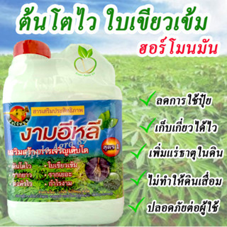 ปุ๋ยมันทางใบ ขนาด 5 ลิตร งามอีหลี ปุ๋ยมันหัวใหญ่ ต้นโตไว ใบเขียวเข้ม รากยาว รากเยอะ  ปุ๋ยใส่มัน ฮอร์โมนมัน ปุ๋ยใส่มันเทศ