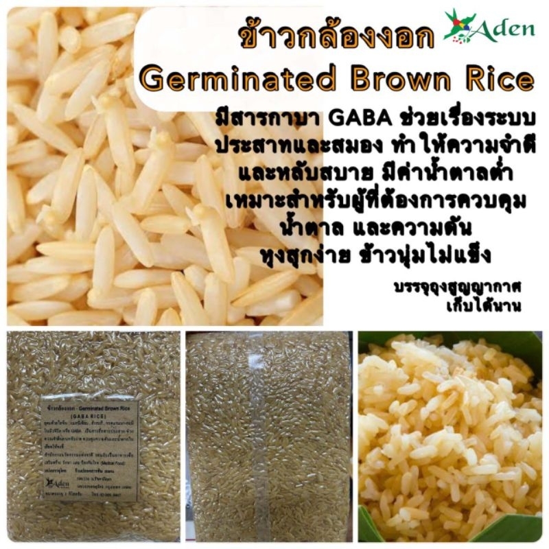 ข้าวกล้องงอก  Germinated Brown Rice