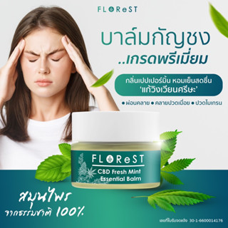 FLORest CBD Fresh Mint Balm บาล์มซีบีดี ฟลอเรสท์