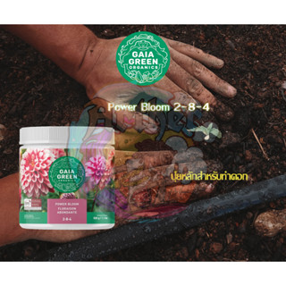 Gaia Green Power Bloom 2-8-4 ปุ๋ยหลักสำหรับทำดอก 500กรัม