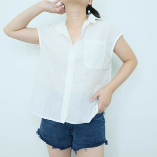 เชิ้ตแขนเกย Cotton Freesize อก 40"