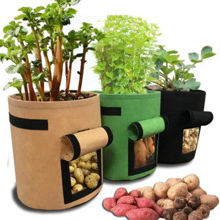 5 / 7 / 10 แกลลอน กระถางปลูกต้นไม้ Big Plant Pot Non-woven Material Potato Strawberry Bag Seedling