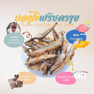 ปลาไข่ฟรีซดราย ปลาไข่ ขนมสัตว์เลี้ยง Capelin Fish Freeze Dried