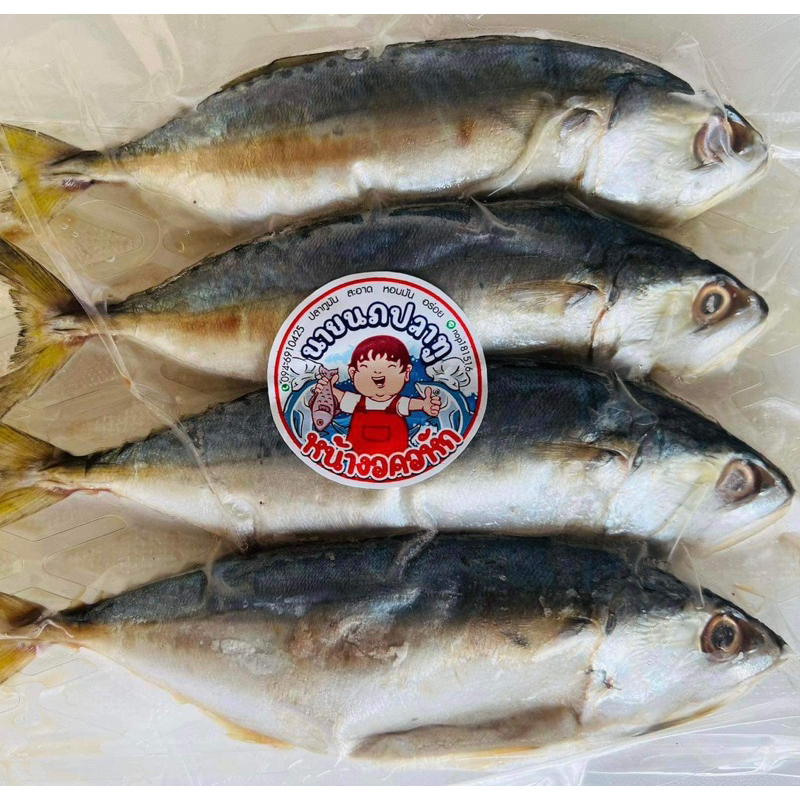 ปลาทูมัน แพ็ค 4 ตัว (เค็มน้อย) น้ำหนักประมาณ 400-420 กรัม สดสะอาด อร่อย