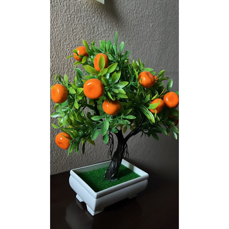 ต้นส้มปลอมสำหรับประดับ