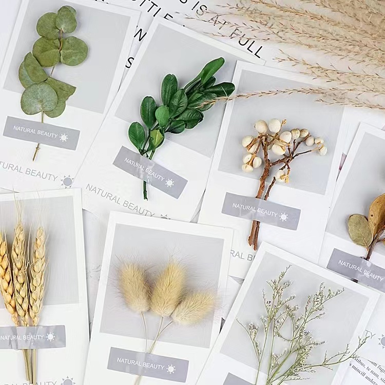O•urHome [พร้อมส่ง] การ์ดดอกไม้แห้งจากพืชธรรมชาติ ตกแต่งห้อง สติกเกอร์ติดผนัง insพร๊อพถ่ายรูป Handmade Dried flowers