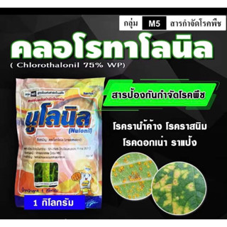 นูโลนิล-คลอโรทาโลนิล 75 % ( 1 กิโลกรัม ) สารป้องกันกำจัดโรคพืช โรคใบจุด โรคราน้ำค้าง โรคราสนิม โรคกุ้งแห้ง โรคตากบ 1กิโล