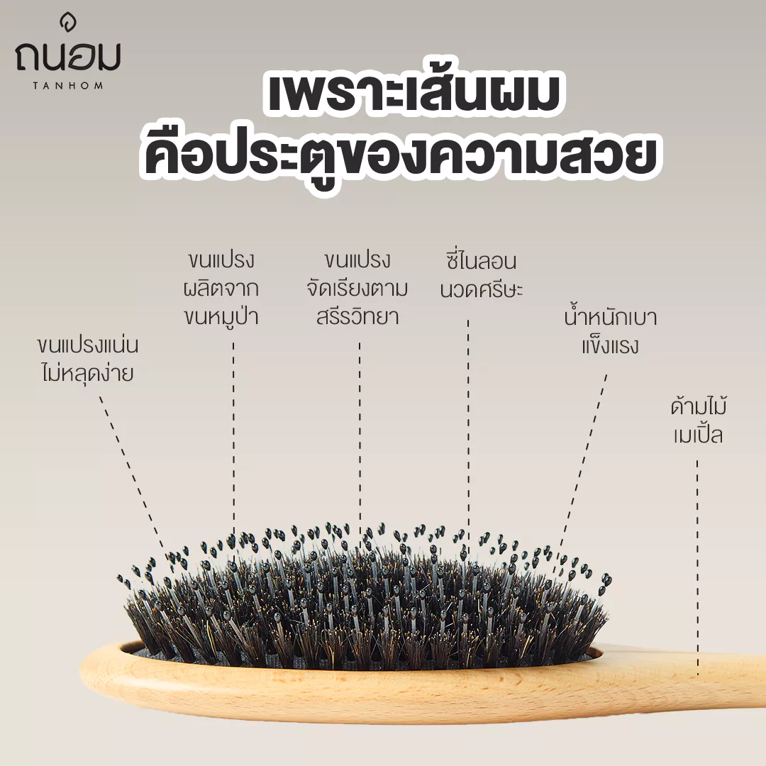 หวีขนหมูป่าแท้ Boar bristal by Tanhom thumbnail 5