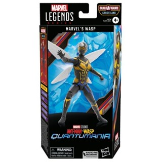 Hasbro Marvel Legends Ant-Man &amp; The Wasp: Quantumania Wasp (No Baf)