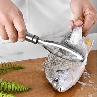 Fish scraper ที่ขูดเลาะเกล็ดปลาสแตนเลส