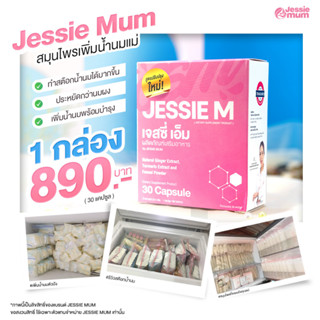 สมุนไพรเพิ่มน้ำนม Jessie mum เจสซี่มัม อาหารเสริมเพิ่มน้ำนม ผลิตภัณฑ์บำรุงน้ำนม  กู้น้ำนม เพิ่มน้ำนมคุณแม่ 30 แคปซูล