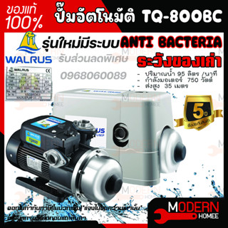 ส่งฟรี WALRUS ปั๊มน้ำอัตโนมัติ TQ800C มีฝาครอบ TQ-800C TQ800 TQ-800 ปั้มน้ำอัตโนมัติ ปั้มน้ำ ปั๊มอัตโนมัติ ปั้มออโต้