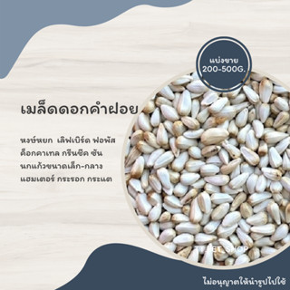 เมล็ดดอกคำฝอย (ทานตะวันขาว) แบ่งขาย 200-500G. อาหารหงษ์หยก  เลิฟเบิร์ด ฟอพัส  ค็อกคาเทล กรีนชีค ซัน  นกแก้วขนาดเล็ก-กลาง