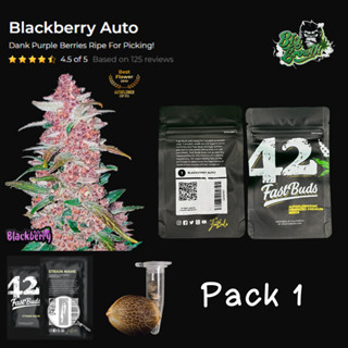 เมล็ดกัญชา Blackberry Auto - Fastbuds แพ็ค 1 เมล็ด