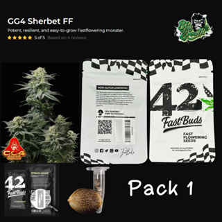 เมล็ดกัญชา GG4 Sherbet FF (Fast) - Fastbuds แพ็ค1เมล็ด