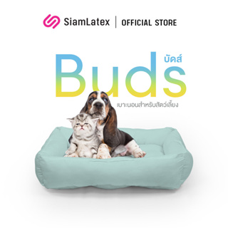 Siamlatex เบาะที่นอนหมา เบาะหมา เบาะแมว เบาะเย็น รุ่น Buds ที่นอนสัตว์เลี้ยง ผ้าเย็น นอนสบาย ไม่ร้อน เบาะเย็นหมา เบาะเย็นแมว ใช้กับหมาแมวได้