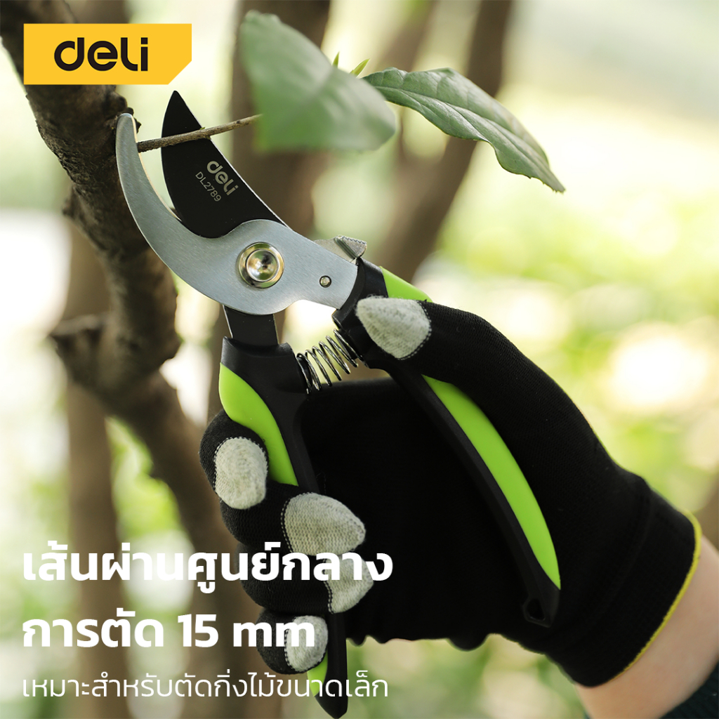 Deli กรรไกรตัดกิ่งไม้ กรรไกรแต่งกิ่ง อุปกรณ์ทำสวน แต่งต้นไม้ ด้ามจับถนัดมือ SK5 Pruning Shears