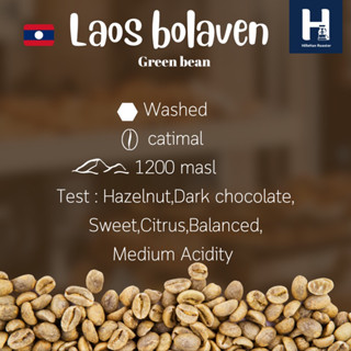 สารกาแฟลาวLaos bolaven green bean