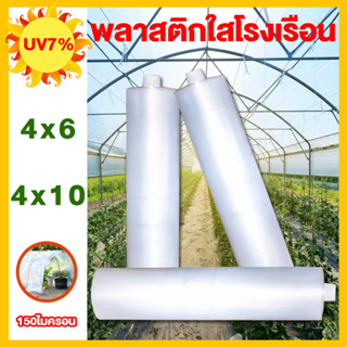 พลาสติกคลุมโรงเรือน พลาสติกใส greenhouse 4x6 4x10 สีใส Uv7% หนา 150 ไมครอน ผ้ายางคลุมโรงเรือน พลาสติกโรงเรือน