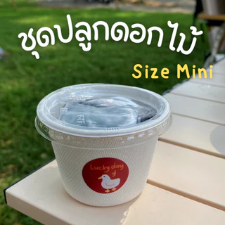 ชุดปลูกดอกไม้ (Size Mini) ไม่มีปุ๋ยในชุด ปลูกง่าย โตไว ของวันเกิด ของขวัญปัจฉิม ของชำร่วย