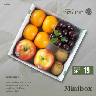 Premium fruit Mini box set 19