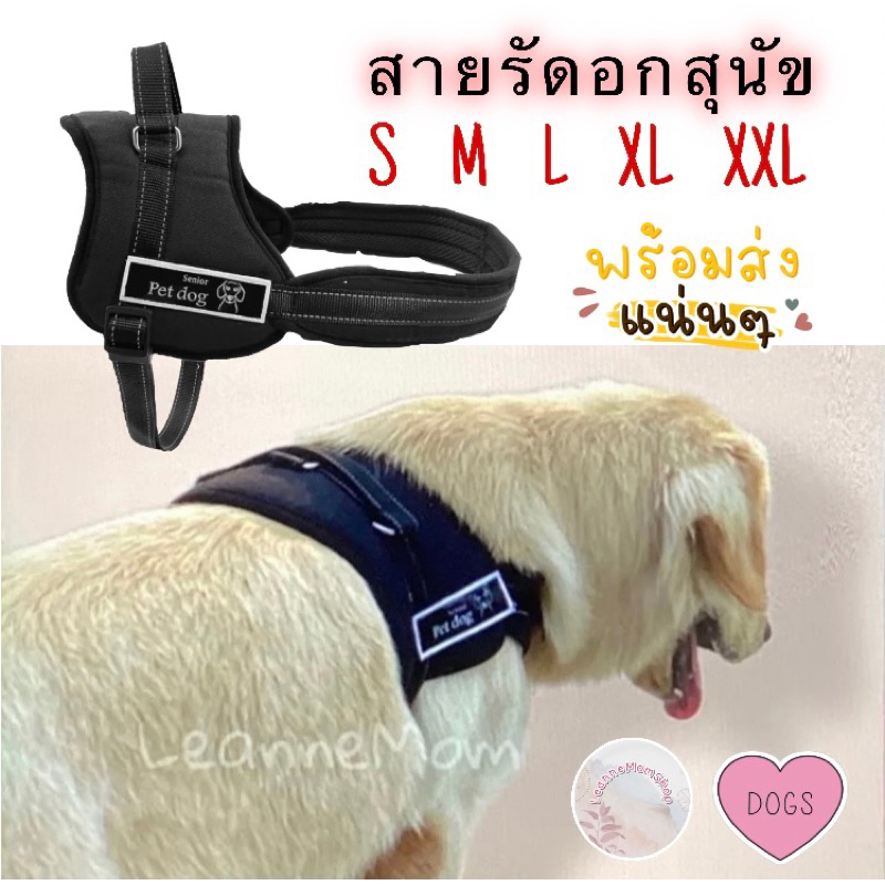 พร้อมส่ง สายรัดอกสุนัข เล็ก/กลาง/ใหญ่