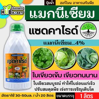 แซดคาไรด์ 1ลิตร (แมกนีเซียม) ใบเขียวเข้ม เขียวทนนาน ทนร้อน ทนหนาว