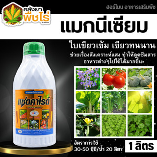 🌽 แซดคาไรด์ (แมกนีเซียม) 1ลิตร ใบเขียวเข้ม เขียวทนนาน ทนร้อน ทนหนาว