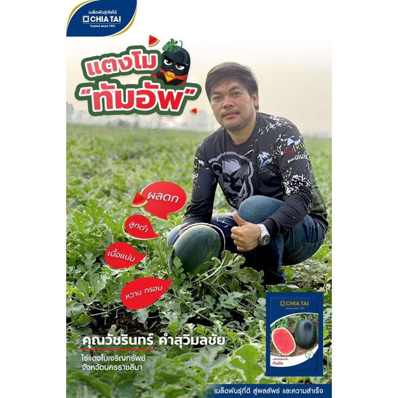 แตงโมลูกผสม ทัมอัพ 40กรัม ลอตใหม่ล่าสุด❗️❗️พร้อมส่ง - รูปที่ 4