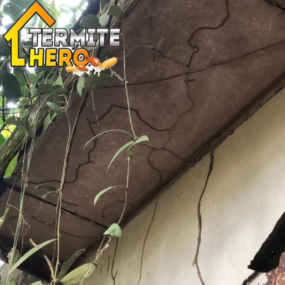 TERMITE HERO สถานีเหยื่อปลวก กับดักปลวก ระบบเหยื่อ thumbnail 6
