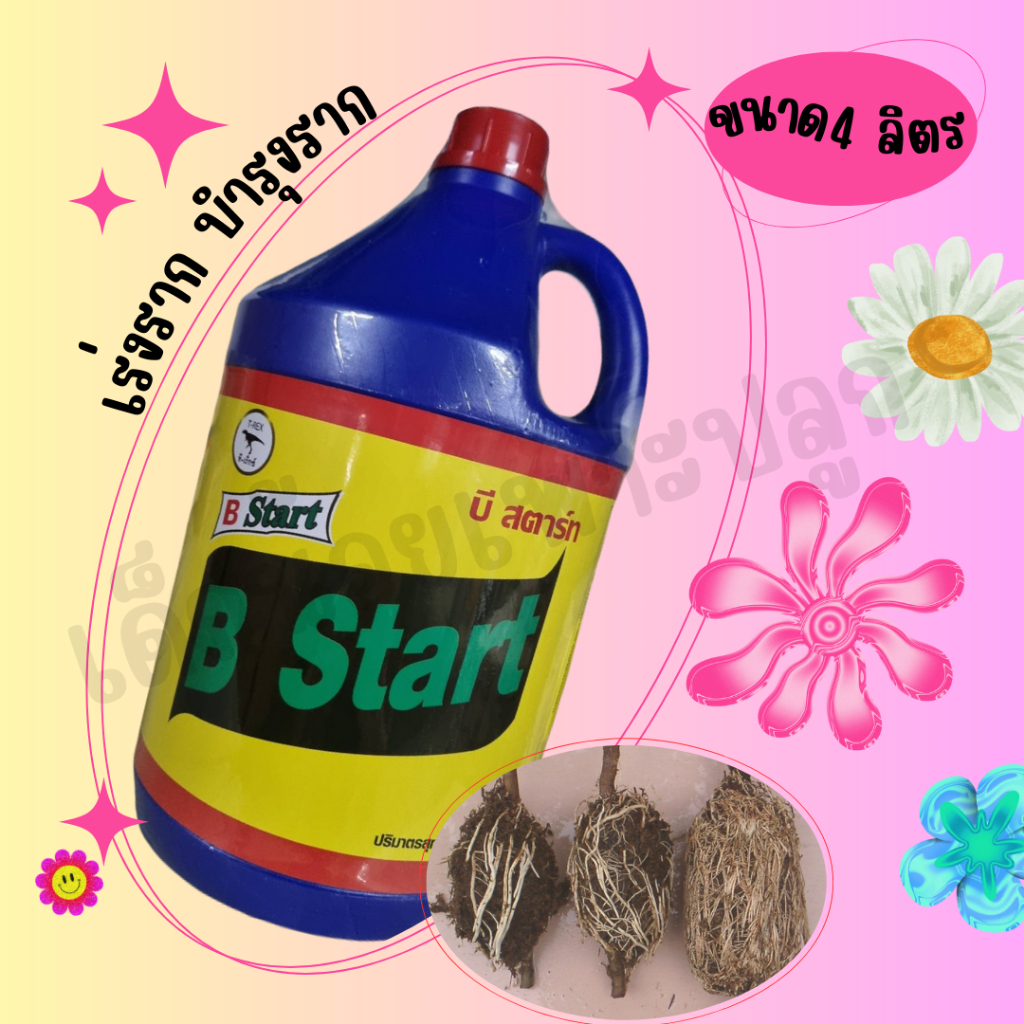 น้ำยาเร่งราก B-Start 4 ลิตร ของแท้ ฝาแดง เปลี่ยนฉลากใหม่แต่สูตรเดิม!!