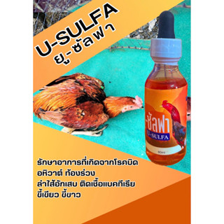 ยู-ซัลฟา U-SULFA ติดเชื้อเฉียบพลัน