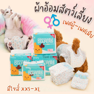 ผ้าอ้อมสุนัข ตัวเมีย-ตัวผู้ ผ้าอ้อมสัตว์เลี้ยง โอบิ  Dog Diaper แพมเพิสสุนัข ผ้าอนามัยสุนัข แมว