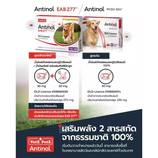 Antinol Dog ของแท้ 🔥 ล็อตใหม่ Exp.2028 อาหารเสริม บำรุงข้อ ลดอักเสบ ข้ออักเสบ สุนัข แมว
