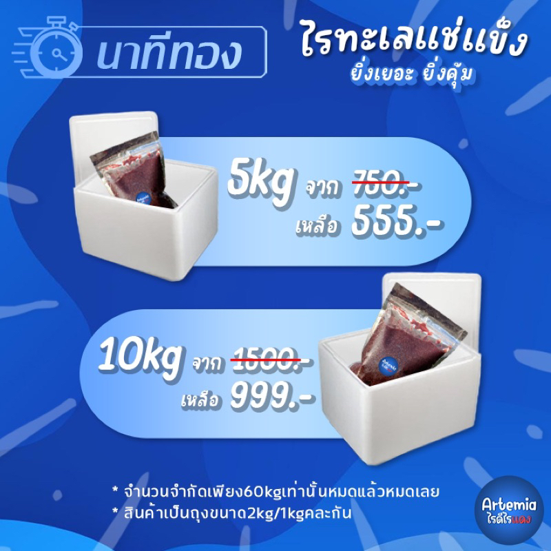 💙จัดส่งทุกวัน จ พ ศ💙 ไรทะเลแช่แข็ง อาร์ทีเมีย โตเต็มวัย อาหารสดสำหรับปลา ยิ่งเยอะยิ่งคุ้ม (ใช้โค้ดลดได้ค่ะ)