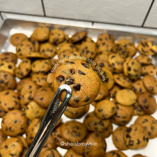 (กด2กระปุกเหลือเพียง175฿)มินิคุกกี้ช็อกโกแลตชิพ/mini crunchy chocolate chip cookies