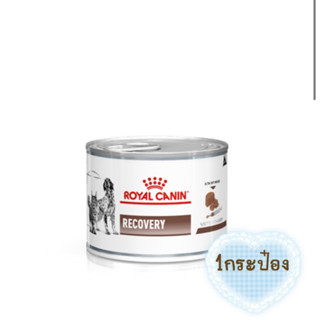 🐶😺Royal canin Recovery อาหารสำหรับสุนัขและแมวป่วยระยะพักฟื้นหรือหลังผ่าตัดขนาด 195g🐕🐈