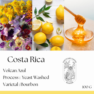 เมล็ดกาแฟ Costa Rica Volcan Azul Yeast Washed