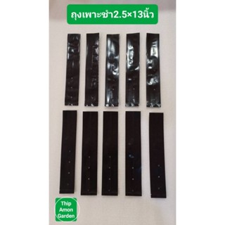 ถุงเพาะชำสีดำขนาด 2.5×13 จำนวน 10 ใบ