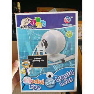 นัยน์ตาจำลองและการมองเห็น (Model Eye with Liquid Lens) ของเล่นเด็กเสริมพัฒนาการ