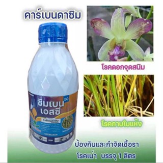 คาร์เบนดาซิม 50 ป้องกันกำจัดเชื้อรา ใบไหม้ กาบใบแห้ง ขวด1ลิตร