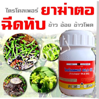 ยากำจัดตอไม้-ต้นไม้-ราก มีสารไตรโคลเพอร์ กำจัดวัชพืชใบกว้าง ขนาด100 ml