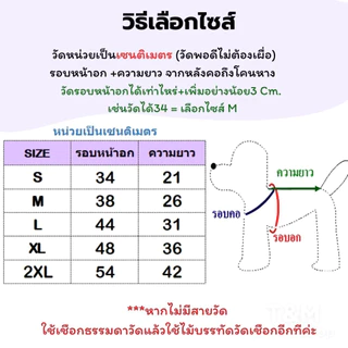 เสื้อยืดสัตว์เลี้ยง เสื้อสัตว์เลี้ยง ผ้าCotton ลายกระต่าย ลายหมี ผ้ายืดใส่สบาย ใส่นอนแอร์ได้ ส่งจากไทย T-009