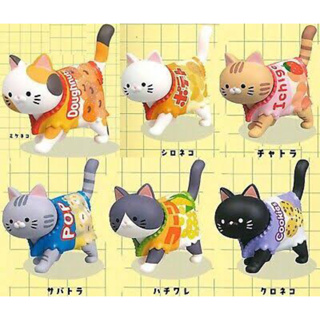 พร้อมส่ง🐱 กาชาปอง OKASHI na KONEKO