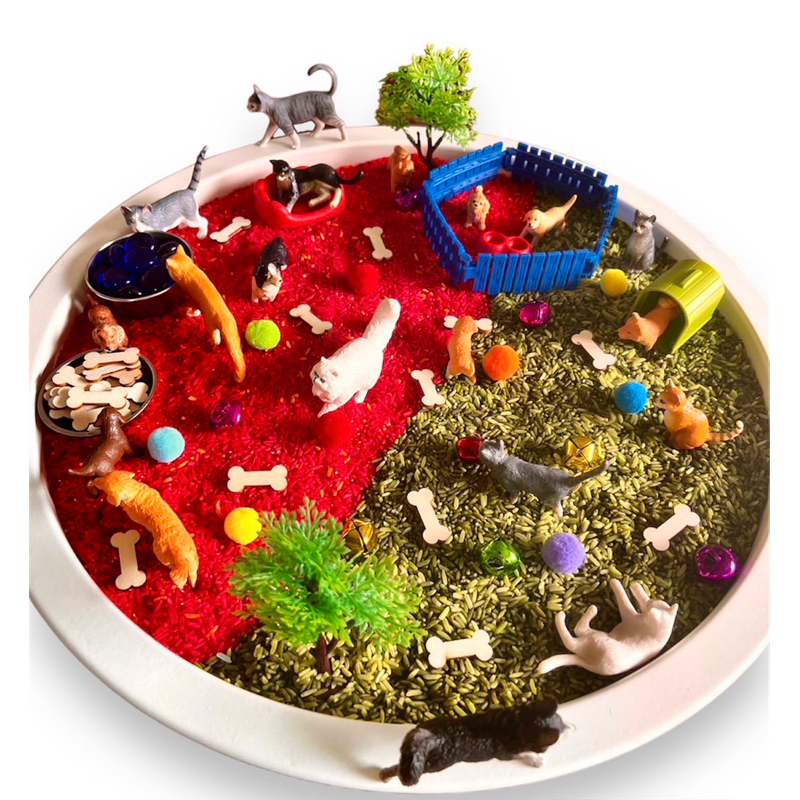 Pets Sensory play โมเดลสัตว์เลี้ยงน่ารัก โมเดลแมว โมเดลน้องหมา(พร้อมส่ง ) ราคา ถูกที่สุด ดีลบีเคเค
