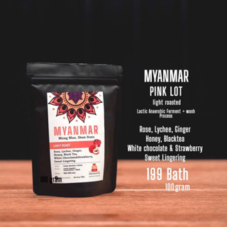 กาแฟโปรเสทพิเศษพม่าคั่วอ่อน Myanma shanstate Pink lot หอม กุหลาบ ลิ้นจี่ 100g 199bath