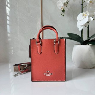 Coach CJ501 North South Mini Tote