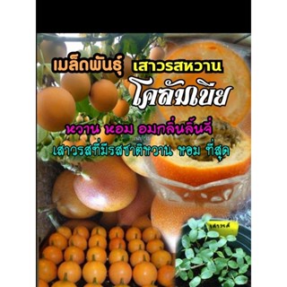 เมล็ดพันธุ์เสาวรสโคลัมเบีย(20เมล็ด)