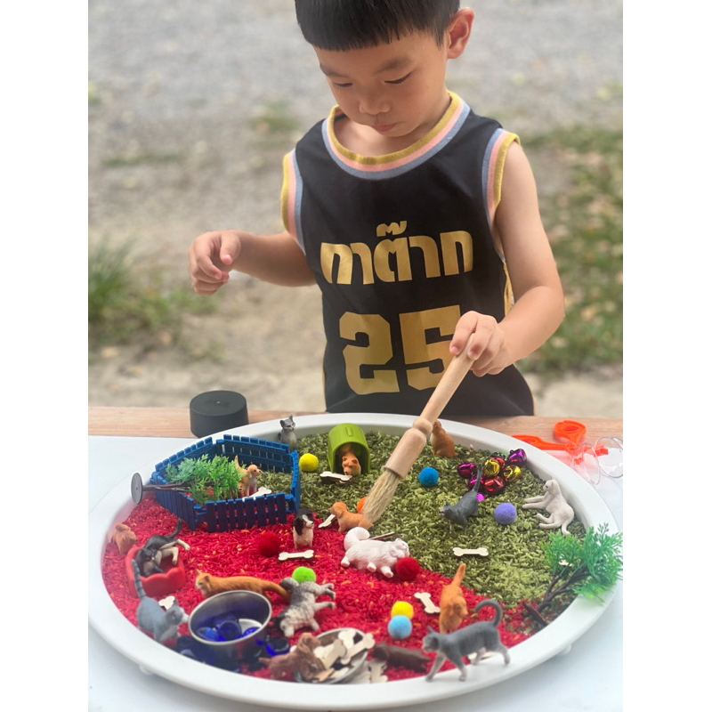 Pets Sensory play โมเดลสัตว์เลี้ยงน่ารัก โมเดลแมว โมเดลน้องหมา(พร้อมส่ง ) ราคา ถูกที่สุด ดีลบีเคเค แกลเลอรีภาพที่ 4